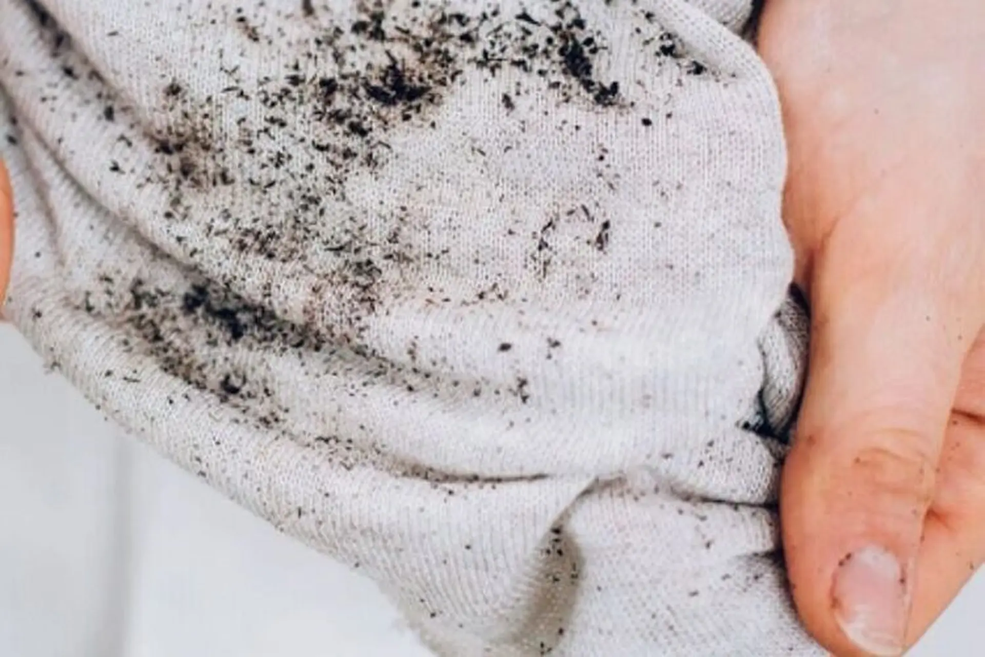 Ẩm mốc trên vải